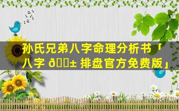 孙氏兄弟八字命理分析书「八字 🐱 排盘官方免费版」